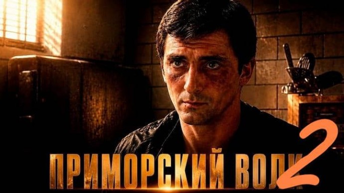 ПРИМОРСКИЙ ВОЛК 2 / Криминальный боевик в стиле 90-ых