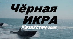Закон один - выжить любой ценой / Черная Икра (сериал, 2025) Казахстан